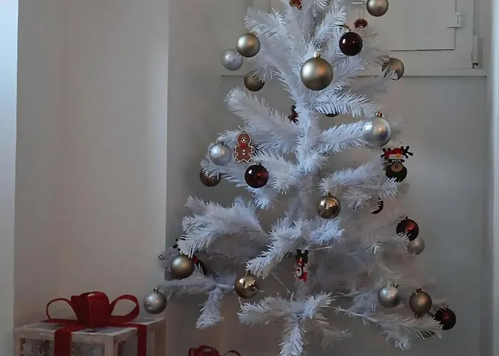 Varanda Do Brejo * Seia